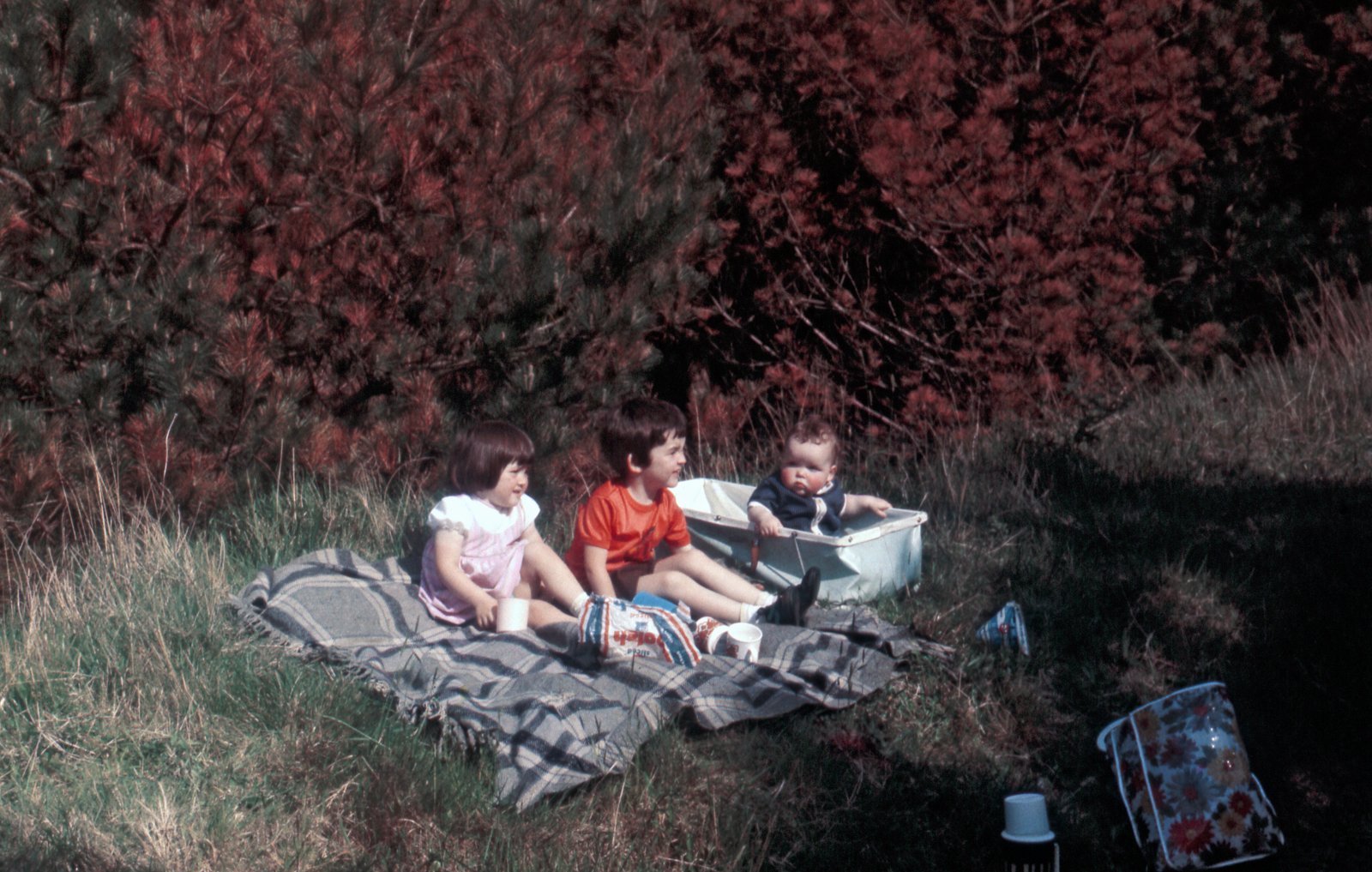 Shirley, Paul and Niall Clerkinhaving a picnic, 1975