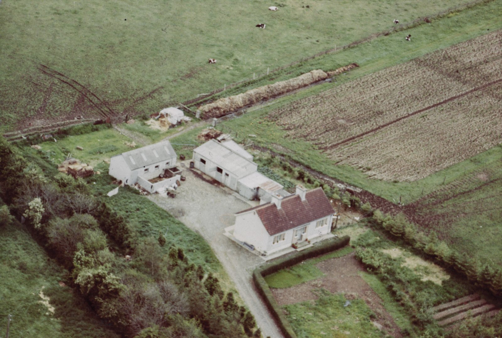 Aerial photograph of the Irish Land Commission farm in the early 1960s owned by the McGing family, formally owned by Cooney.